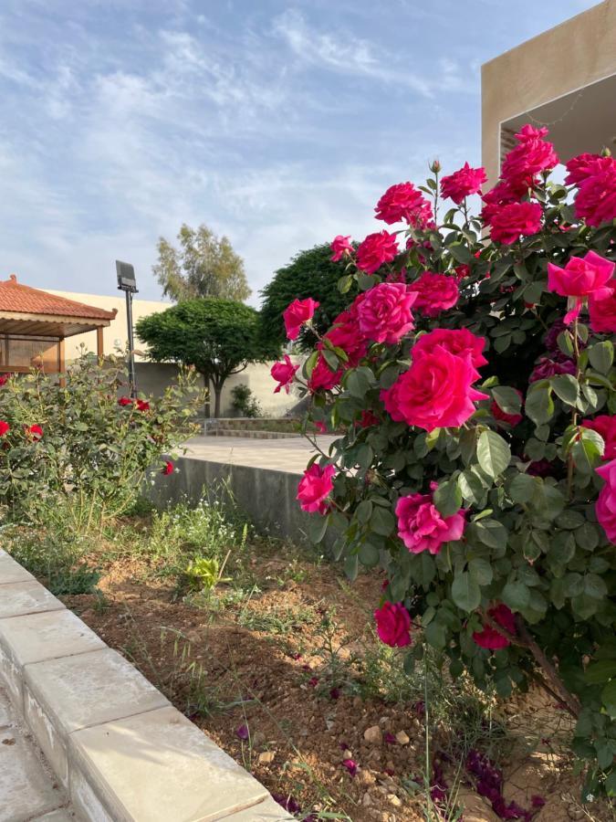 مزرعة النجم Najem Farm Villa Al-Qasr Exterior photo